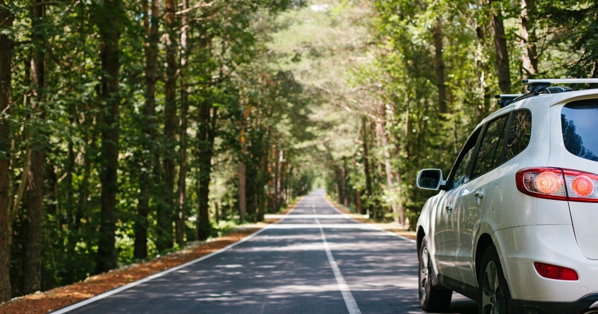 教習所のオンライン学科は録画やサボりがばれる？監視システムやペナルティを解説